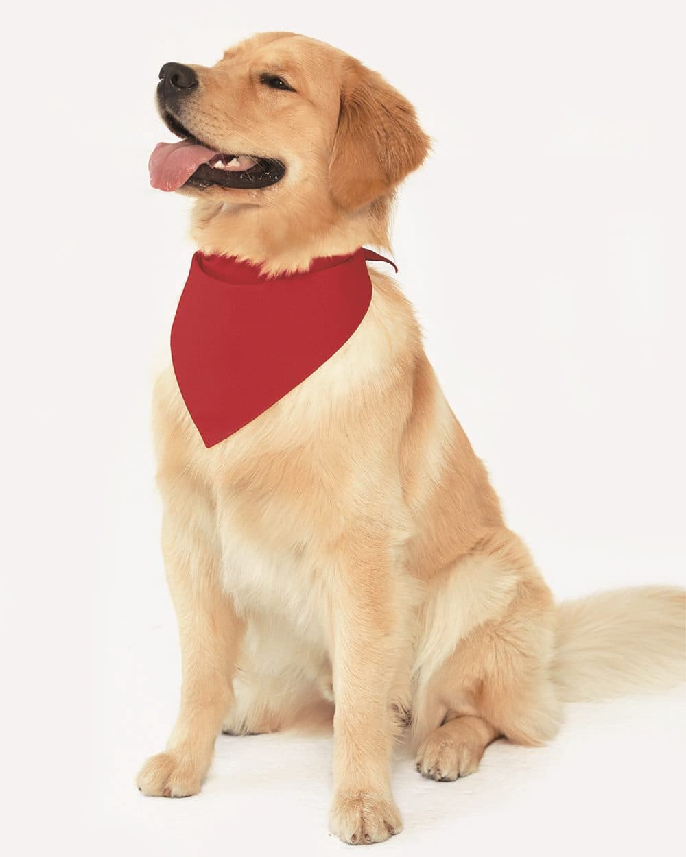 Image for USA-Made Doggie Bandana - 3905